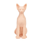 A Pound of Flesh - Naked Cat - tommys supplies